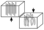 A liquid kind of magnetism